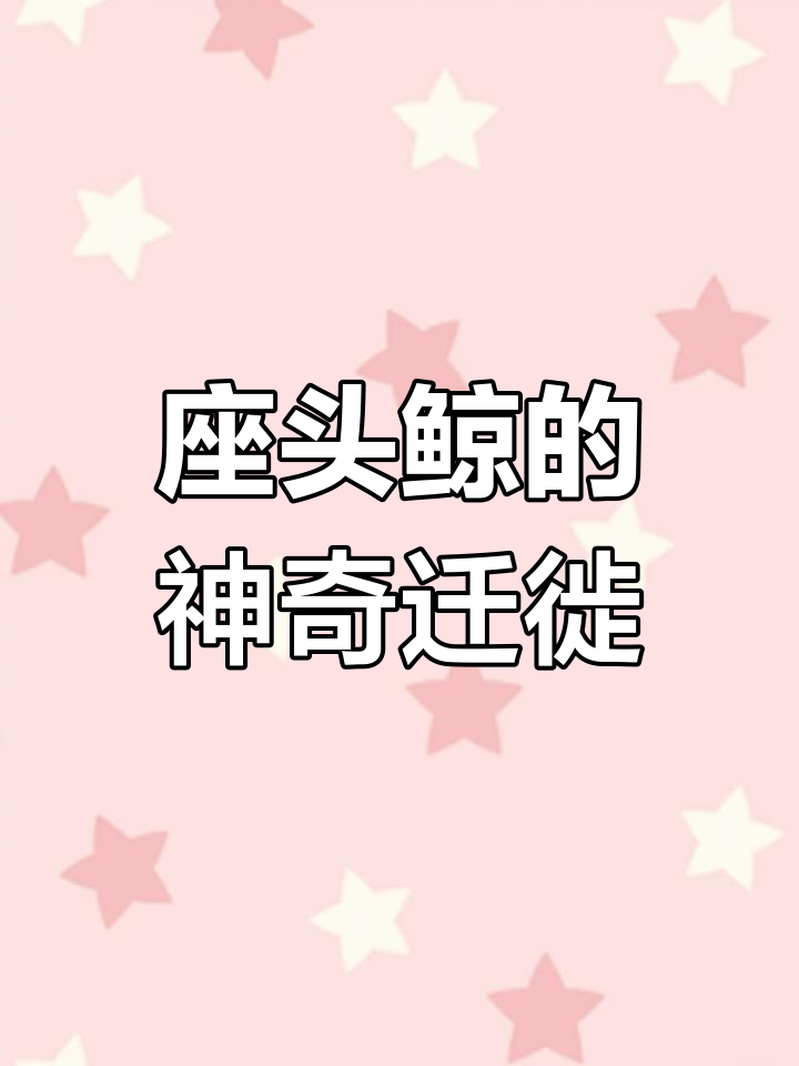 座头鲸每年洄游1.7万公里,从不迷路