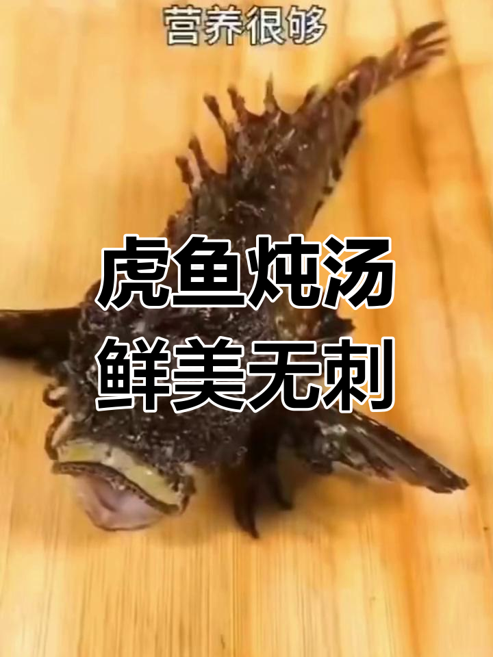 虎鱼:营养丰富,适合全家食用