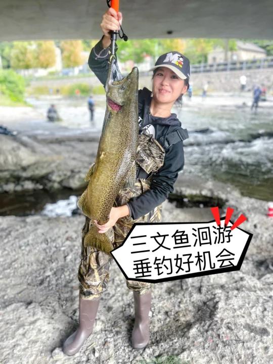 三文鱼成精了么?钓鱼大神让我彻底开眼了