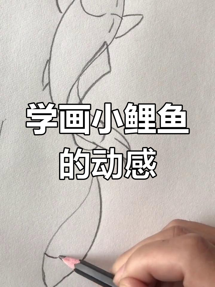 轻松画出鲤鱼动态,S形线条让画面更生动