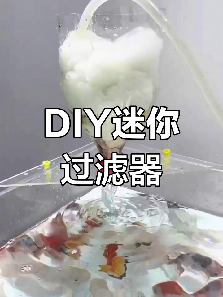 迷你过滤系统制作教程,轻松打造清澈鱼缸