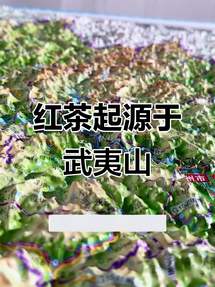 武夷山：全球红茶的发源地，福建文化与经济的双重影响