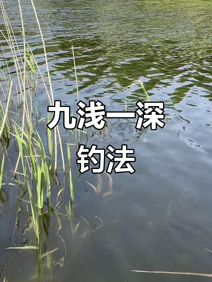 钓鱼技巧：九浅一深口诀，掌握这些钓大鱼不再难