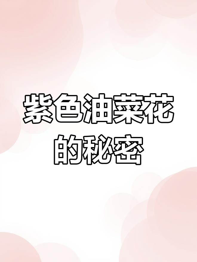 第一次见紫色油菜花,原来它是二月兰!