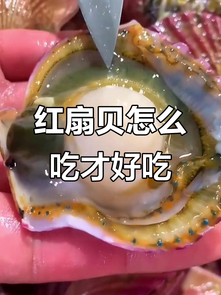 红扇贝哪些部位能吃?教你如何挑选最鲜甜的部分