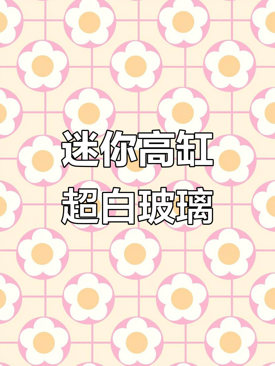 小巧精致鱼缸,底过滤设计让空间利用最大化