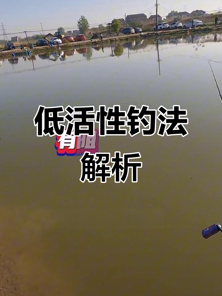 鱼口轻,漂虾调整技巧揭秘