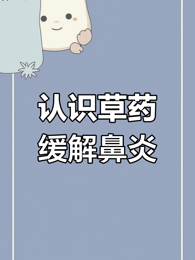 农村草药探秘:鹅仔草与鼻炎治疗