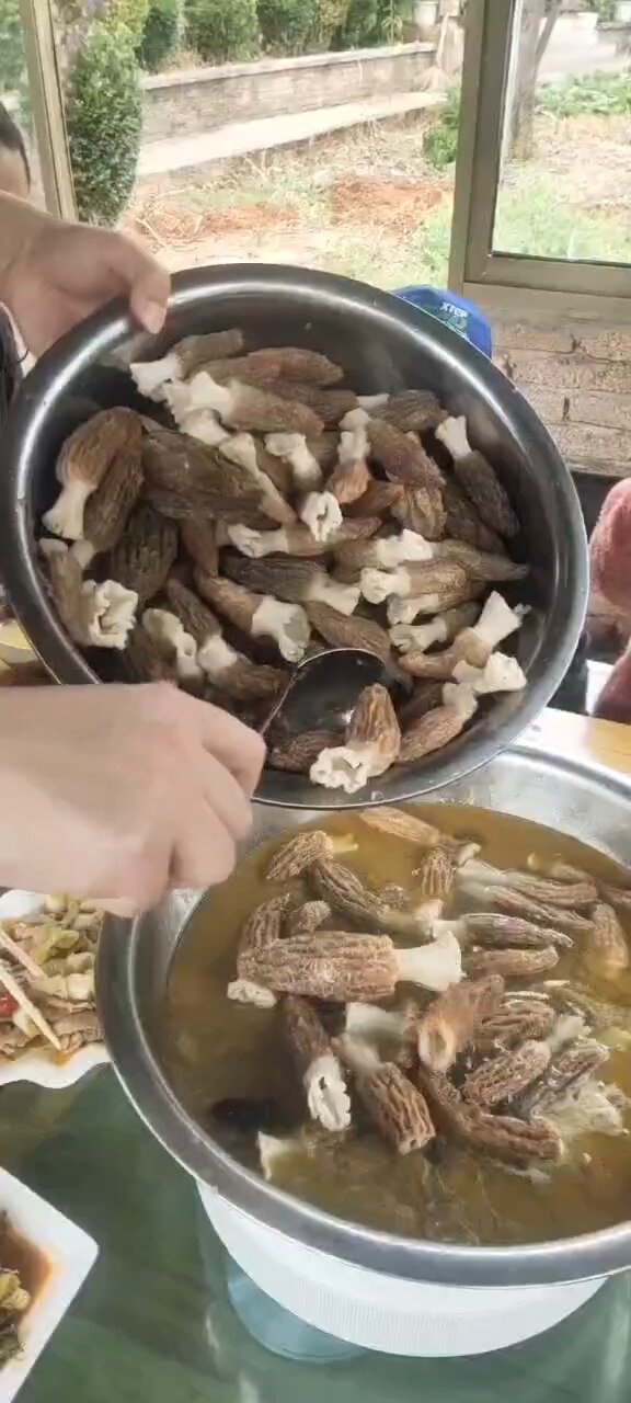 羊肚菌要这样吃煮十分钟就OK了汤是真的鲜