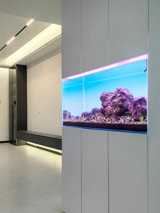 客厅鱼缸这样装 简单又出效果!快来抄作业吧