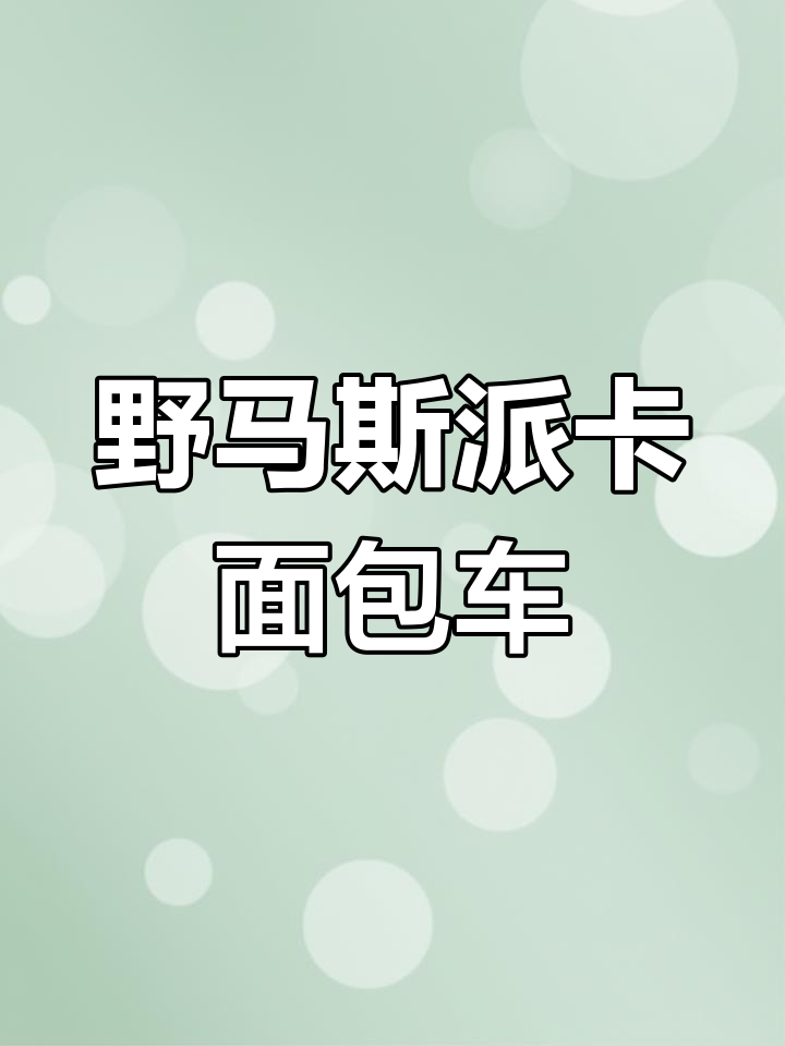 雨中相遇,野马斯派卡两座封闭面包车带你前行