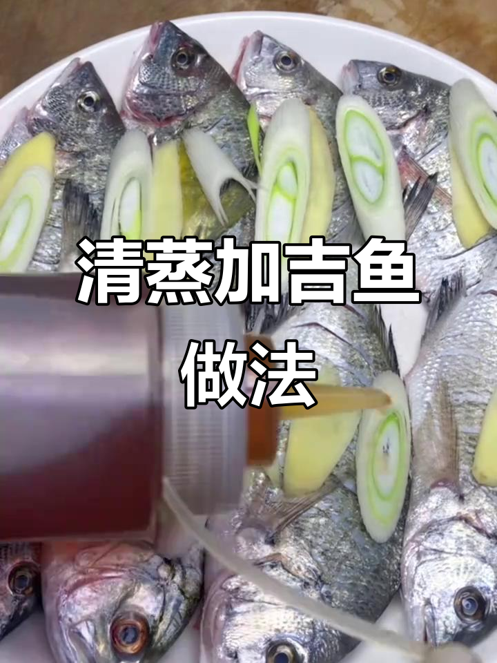 家常清蒸加吉鱼，简单又美味，学会这道菜朋友都羡慕