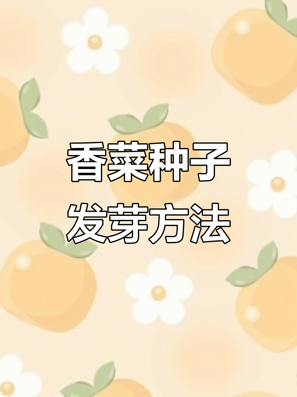 香菜催芽技巧大揭秘,冬季阳台种植必看