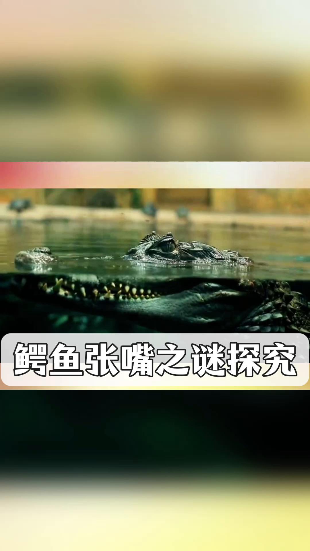 鳄鱼张嘴之谜探究