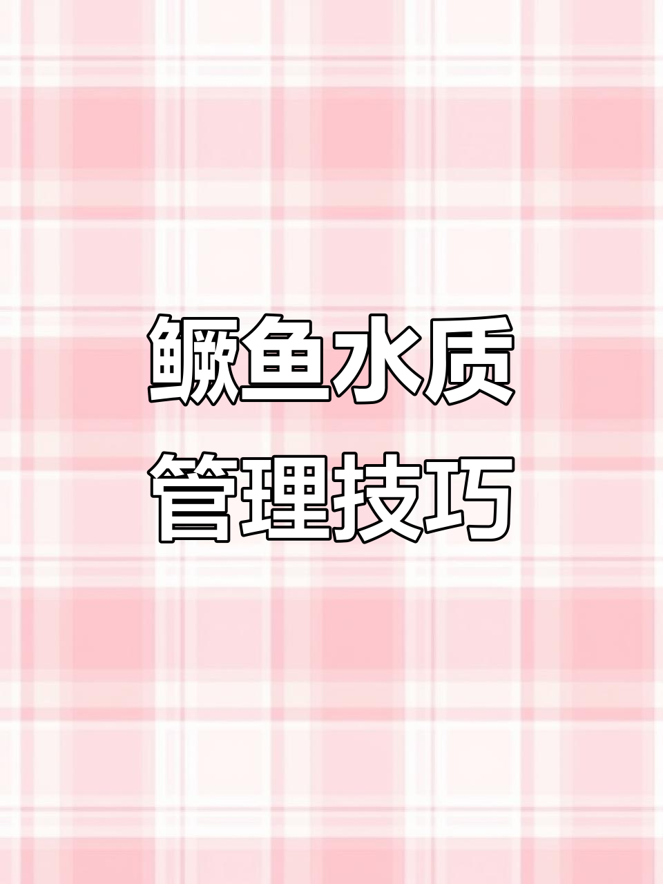 鳜鱼养殖水质管理全攻略：从饲料投喂到水体调节