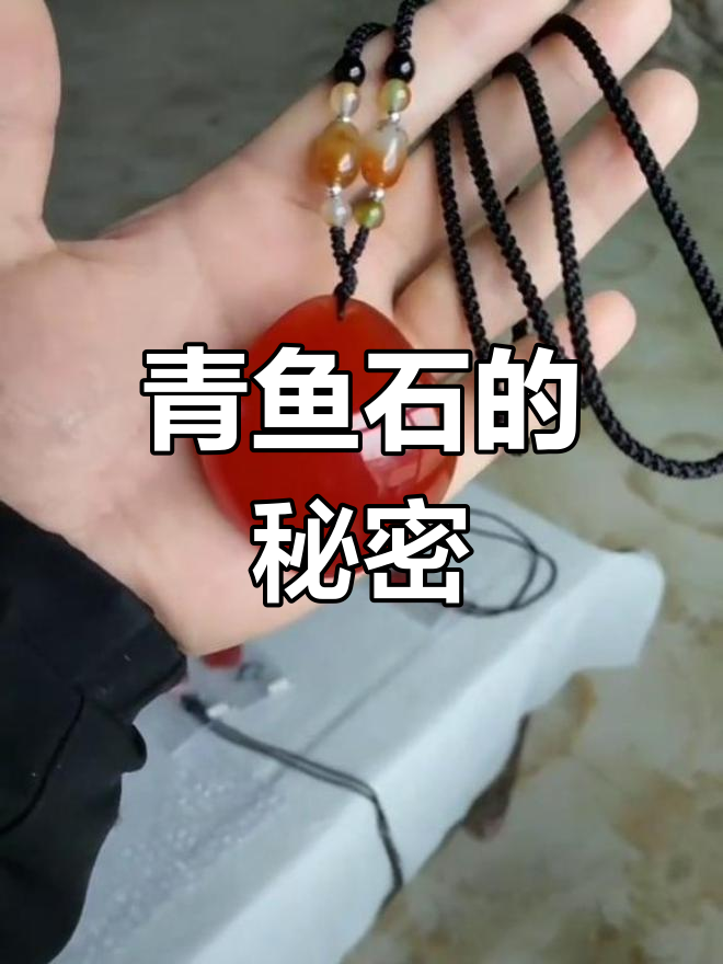 青鱼石:最贵的“骨头”,文玩人的最爱