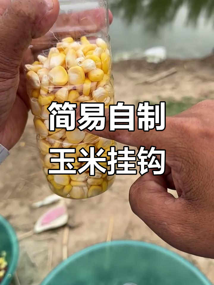 自制玉米挂钩,钓鱼必备!简单又实用