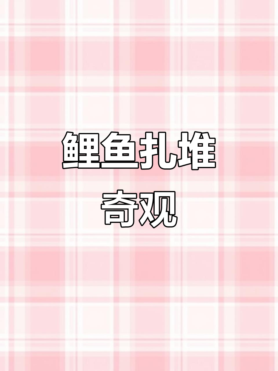 长江泸州，鲤鱼群聚，生态美景令人陶醉