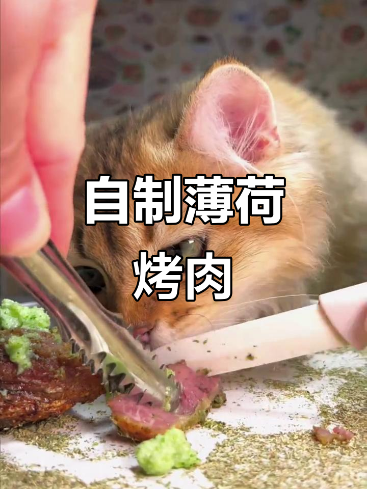 猫咪烤肉大餐,里脊配西兰花酱,轻松自制美味猫饭