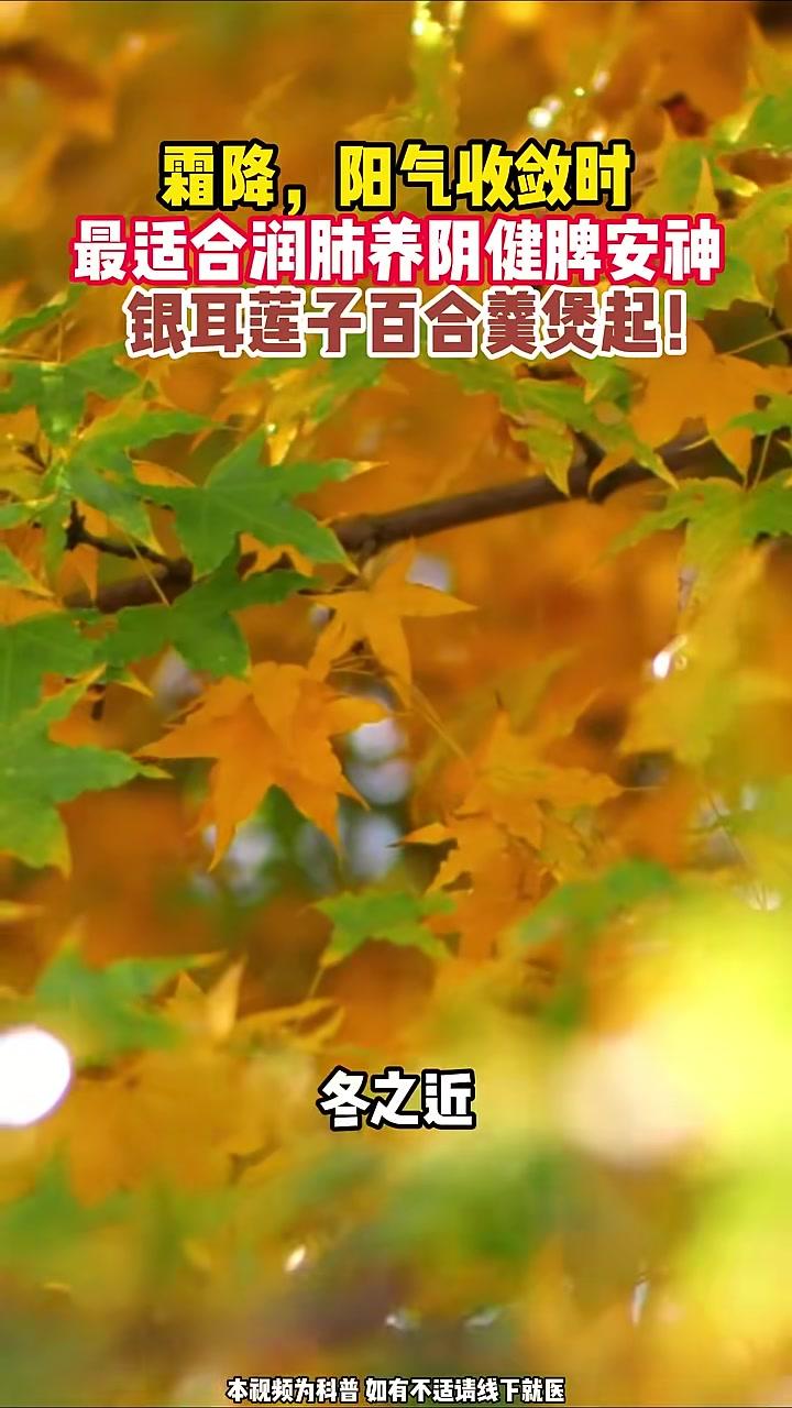 岭南二十四节气｜养生霜降，阳气收敛时最适合润肺养阴健脾安神银耳莲子百合羹煲起！银耳莲子百合