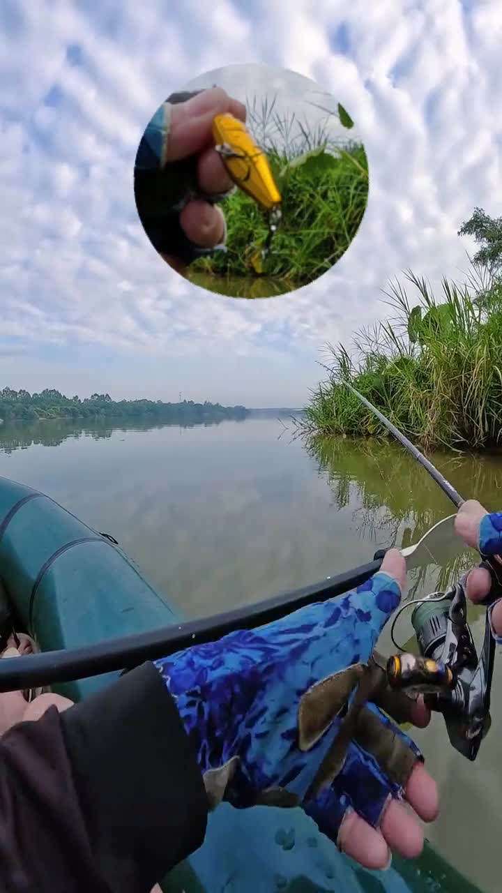 金色小波爬,鱼见鱼开口!户外钓鱼