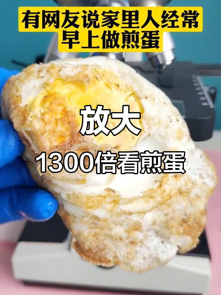 煎鸡蛋放大1300倍,细节惊人!