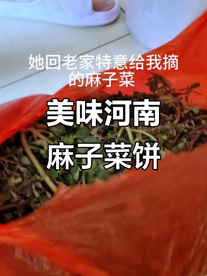 河南野菜麻子菜饼,味道一绝!