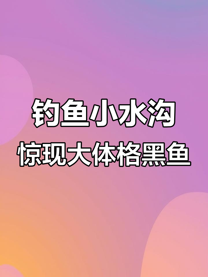 小水沟钓黑皮大鱼,口感超赞!钓鱼人疯狂挑战极限