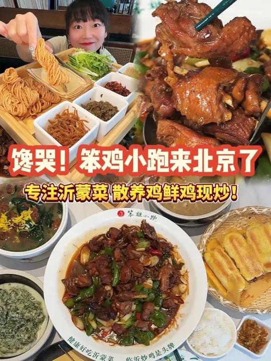 爆济南的笨鸡小跑终于来北京了!