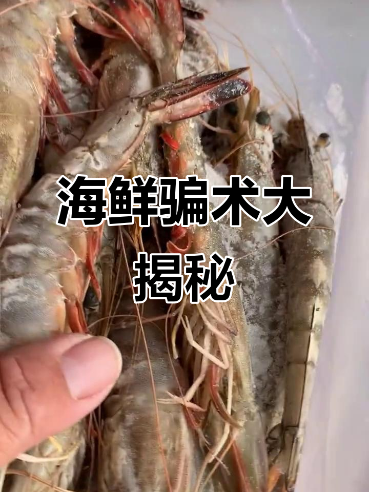 大连海鲜骗局揭秘:东方虾伪装成野生对虾,你中招过吗?
