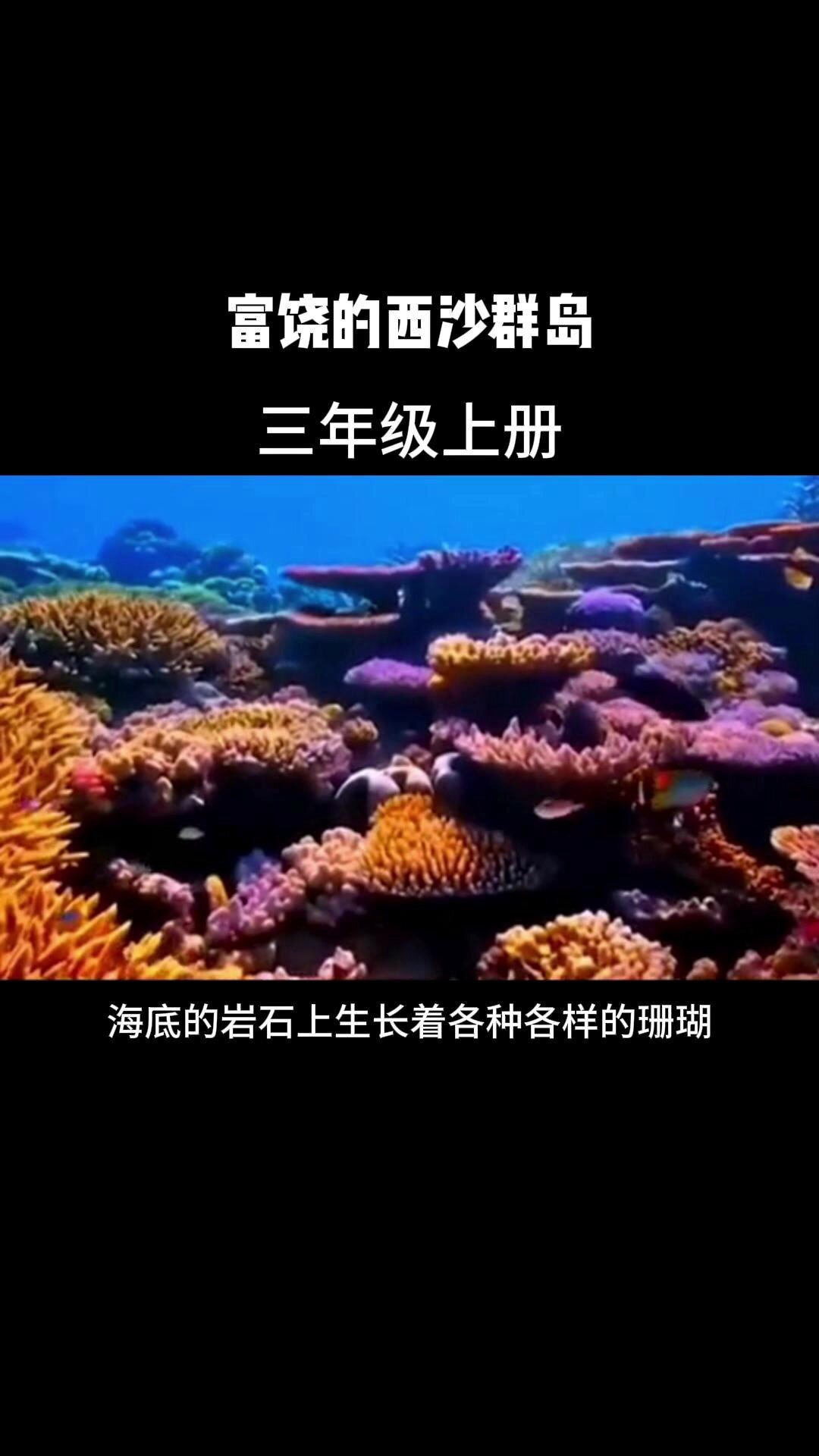富饶的西沙群岛三年级上册语文