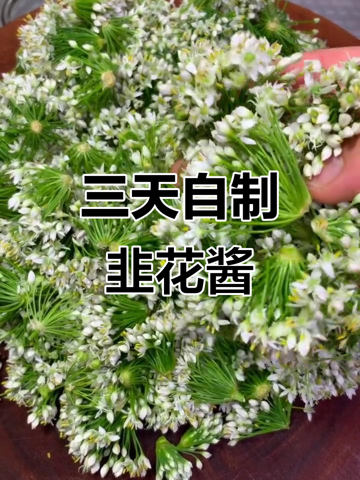 韭菜花小咸菜,三天就能吃!简单又下饭