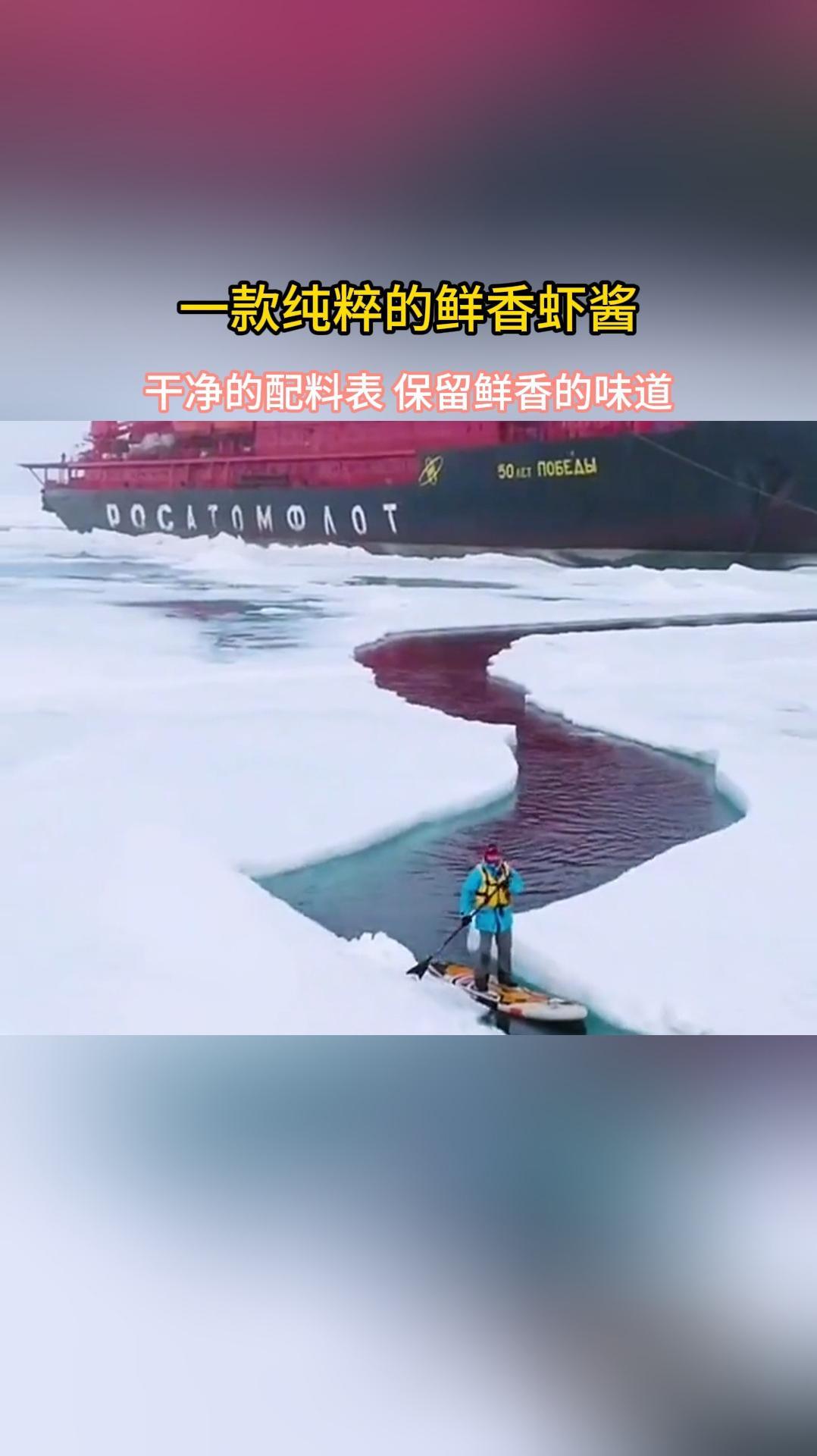 南极磷虾 磷虾酱 虾酱 虾米 美食推荐