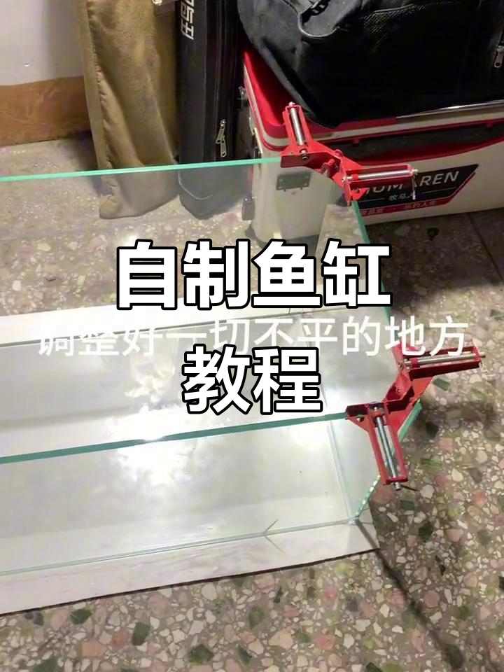 鱼缸制作全攻略:从玻璃到成品,细节决定成败
