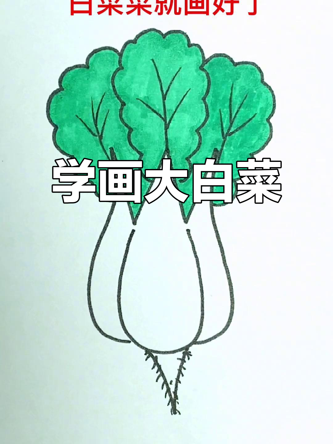 轻松学画大白菜,财源滚滚来!