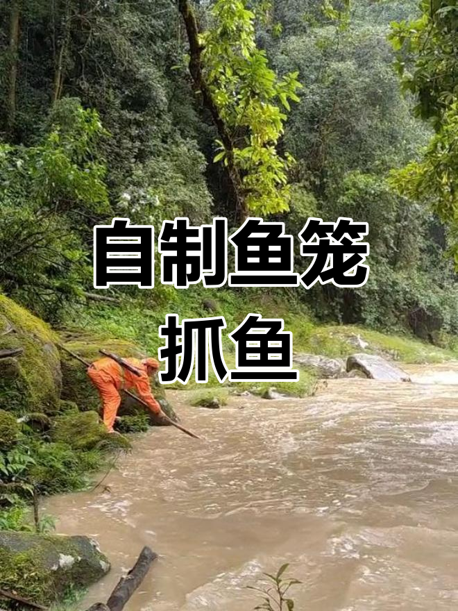 雨季涨水,三舅自制鱼笼捞小鱼