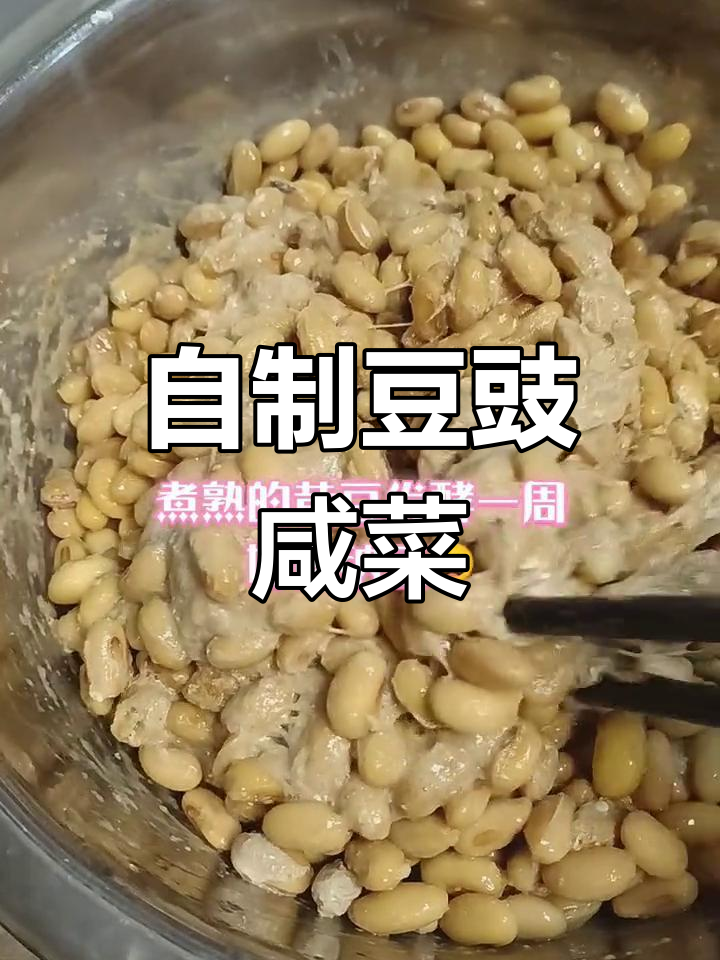豆豉咸菜制作大揭秘,厨房日记来啦!