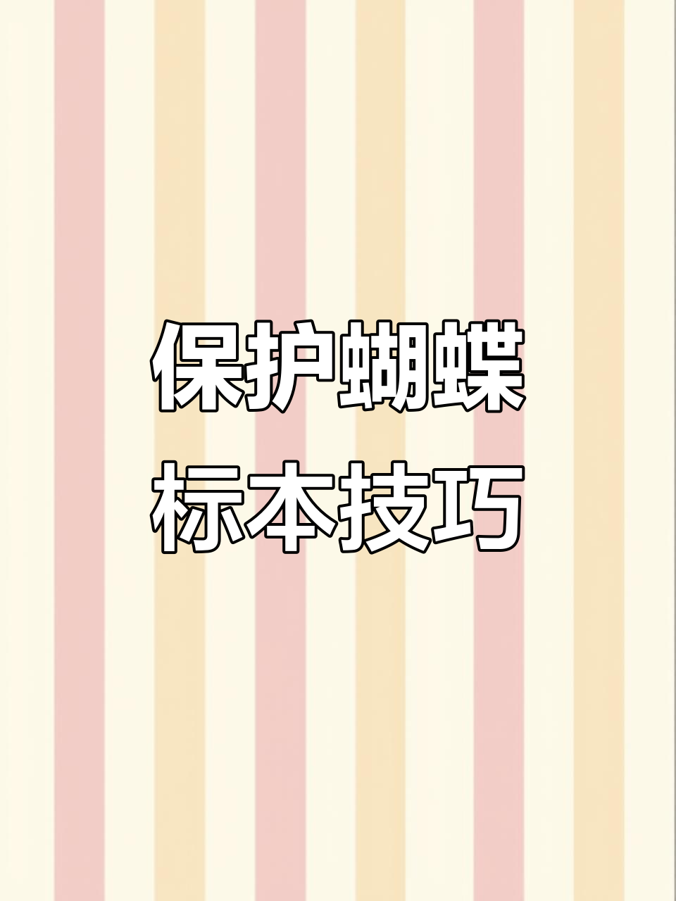 保存蝴蝶标本的小妙招,轻松防虫发霉
