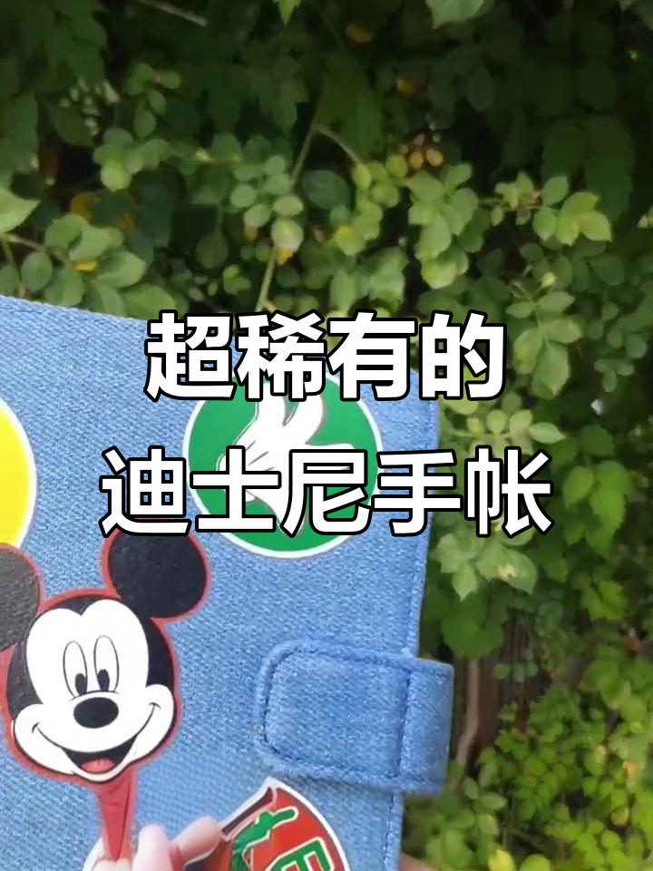 超稀有的迪士尼手帐