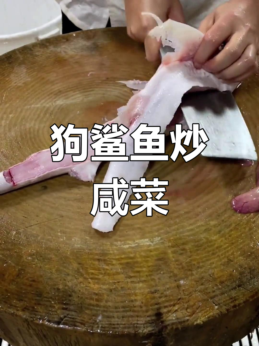 潮汕风味狗鲨鱼炒咸菜,姜丝西红柿提味