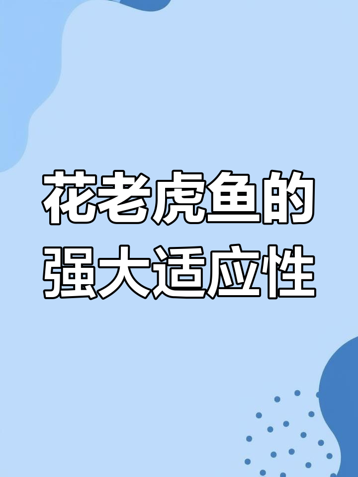 花老虎鱼:像豹子一样的观赏鱼类,强壮凶猛