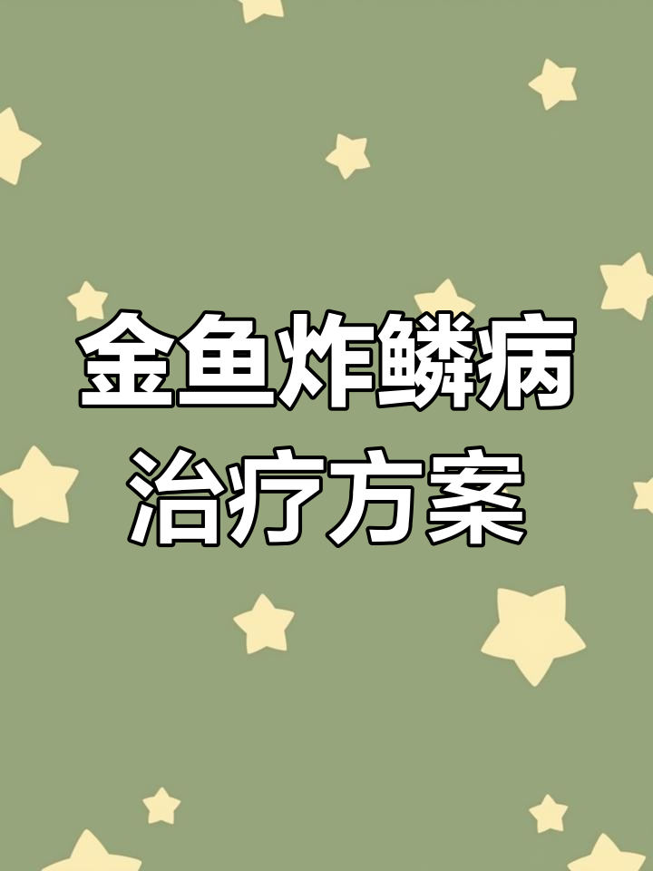 20230810金鱼炸鳞病治疗全过程及药物选择