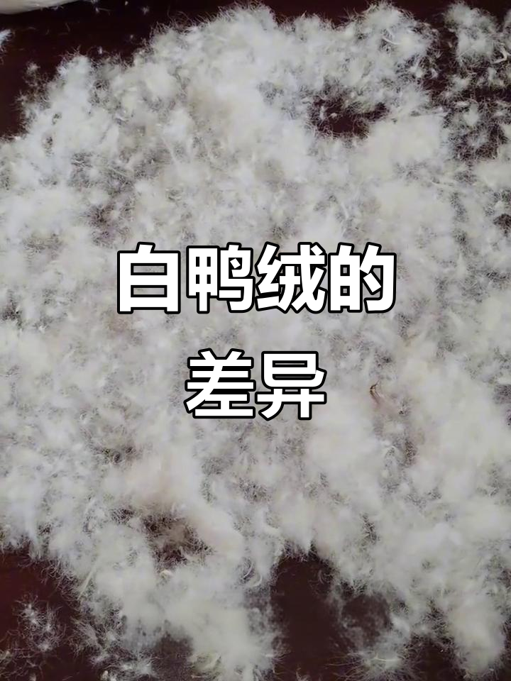 纯白与普白的区别:异色绒含量和面料适配性解析