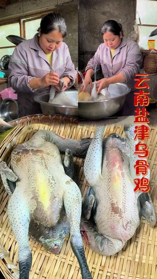 云南农村土鸡乌骨鸡 云南高山乌骨鸡正宗农家味，肉更香#云南本地鸡 #乌骨鸡#土鸡#农村 #