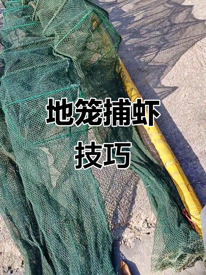 虾多网放三块，效果惊人！地笼诱饵实测