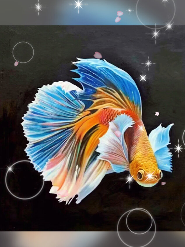 金鱼的寓意是:金玉满堂!年年有余!