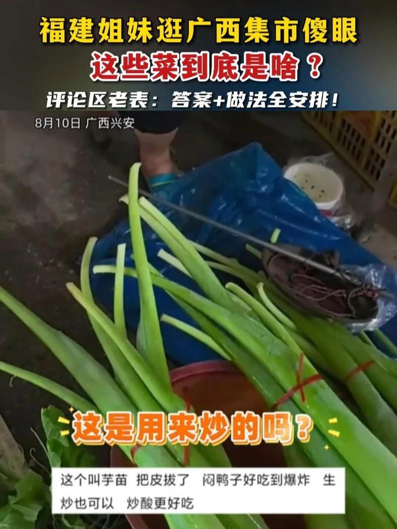 福建姐妹逛广西集市傻眼:这些菜到底是啥?评论区老表:答案+做法全安排!广西集市奇遇记 评论