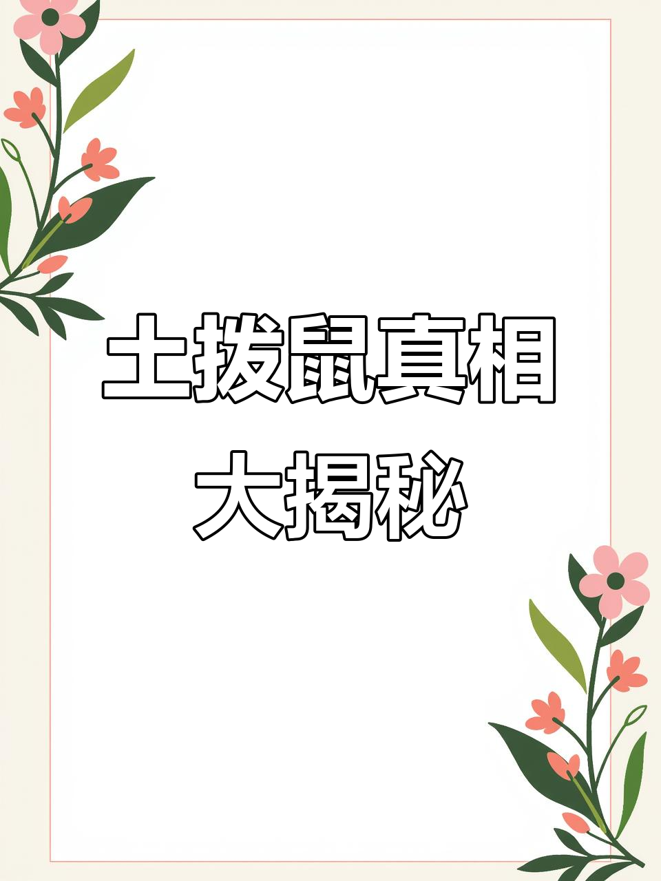 土拨鼠真实叫声,表情包骗不了你!网友笑到不行