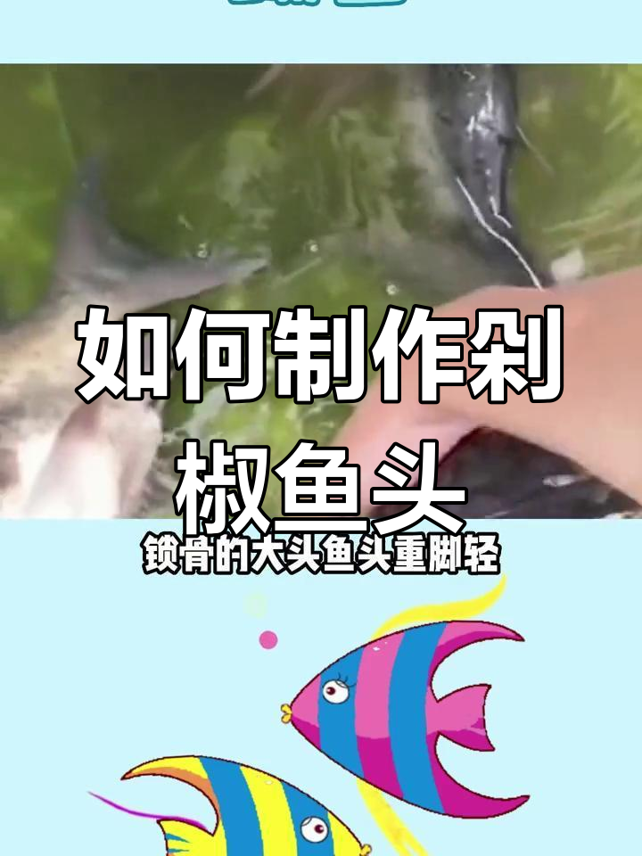 缩骨大头鱼的独特培育方法