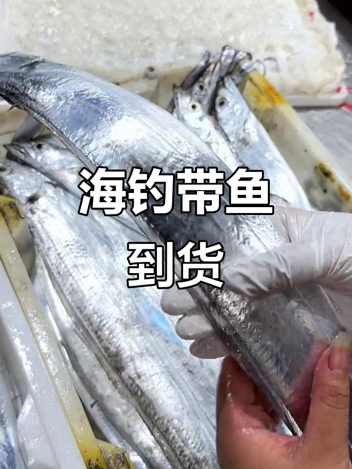 新鲜海钓带鱼,东海源头直供,眼睛黑亮如宝剑
